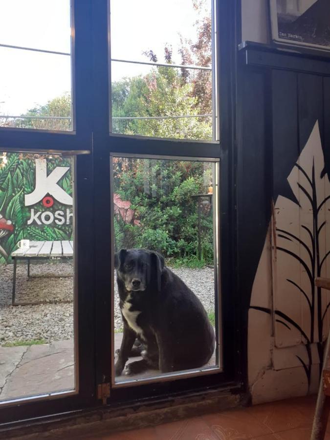 산카를로스데바릴로체 Kosh 호스텔 외부 사진