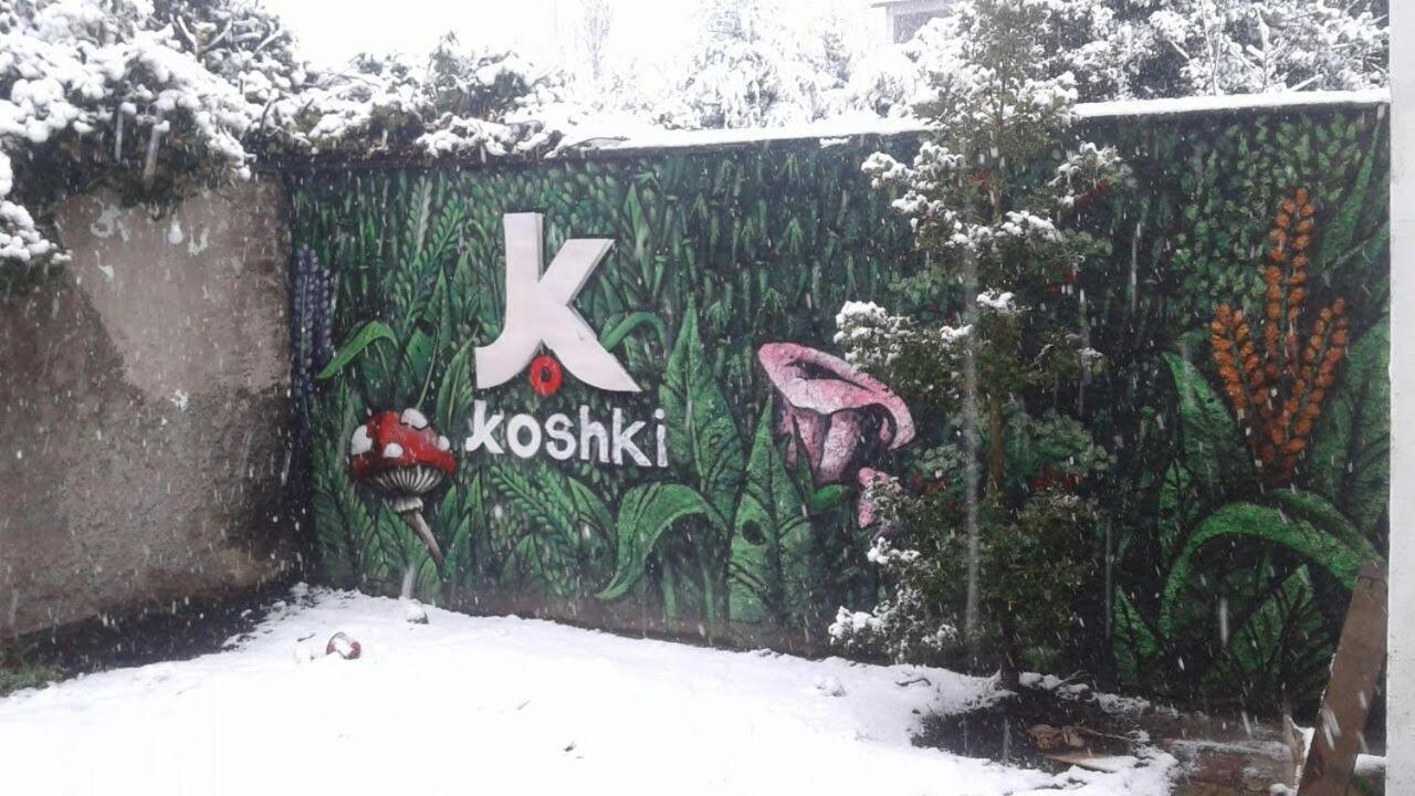 산카를로스데바릴로체 Kosh 호스텔 외부 사진